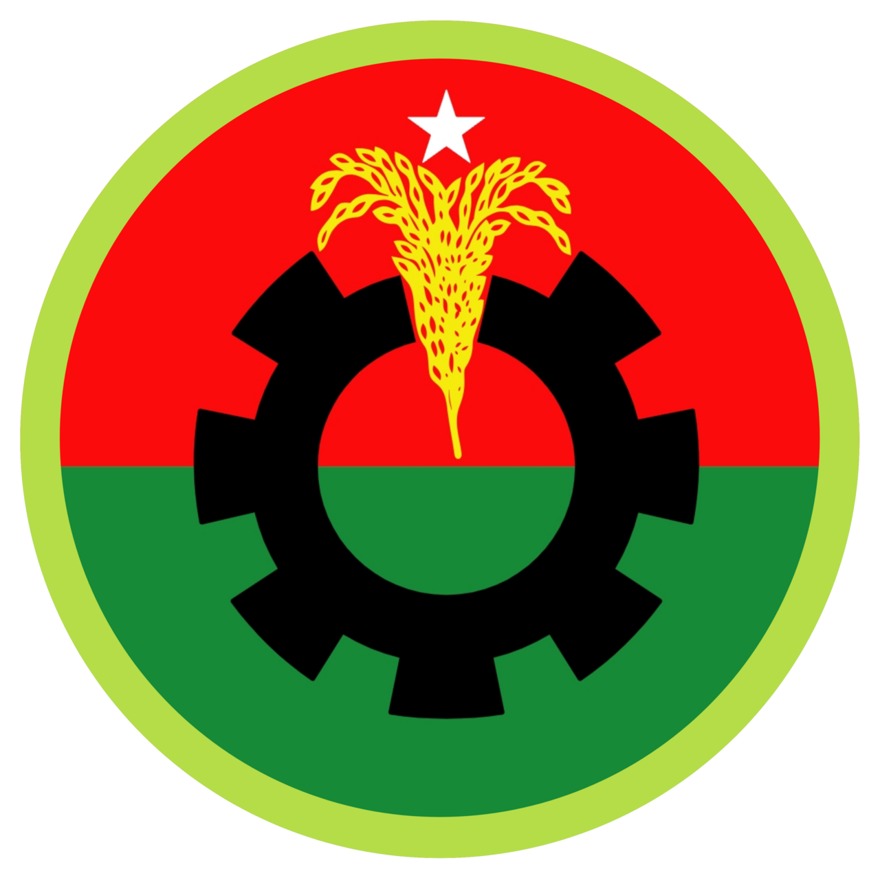 BNP_logo